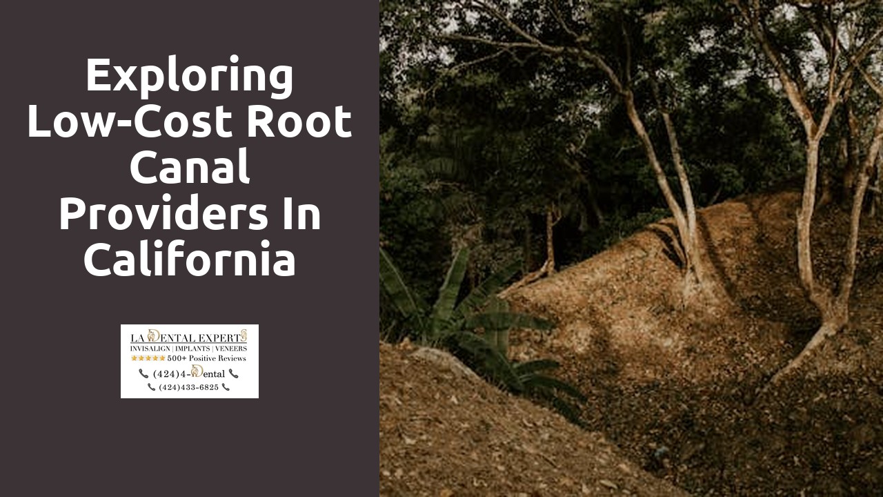 Exploring Low-Cost Root Canal Providers in California
