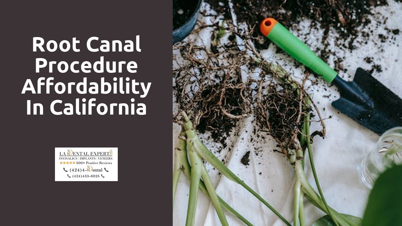 Root Canal Procedure Affordability in California