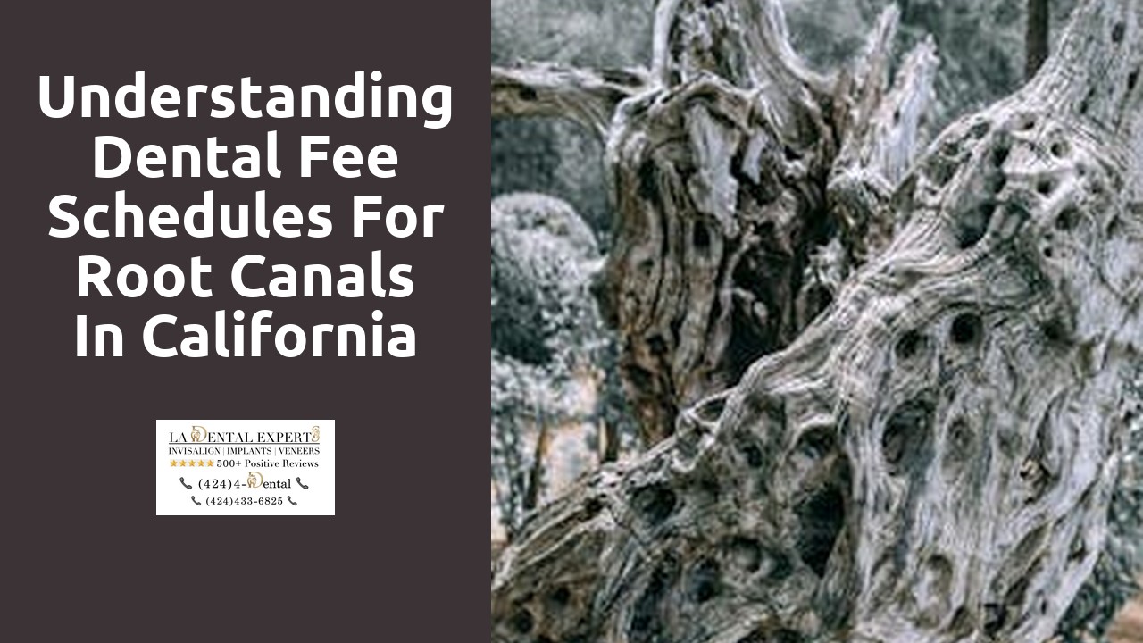 Understanding Dental Fee Schedules for Root Canals in California