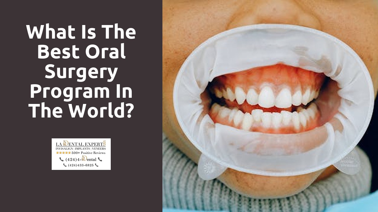 What is the best oral surgery program in the world?